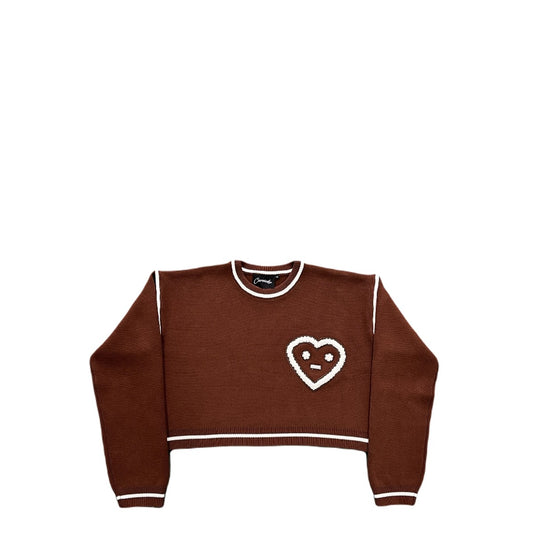Carsicko Don't Touch Knit Sweater - Brown